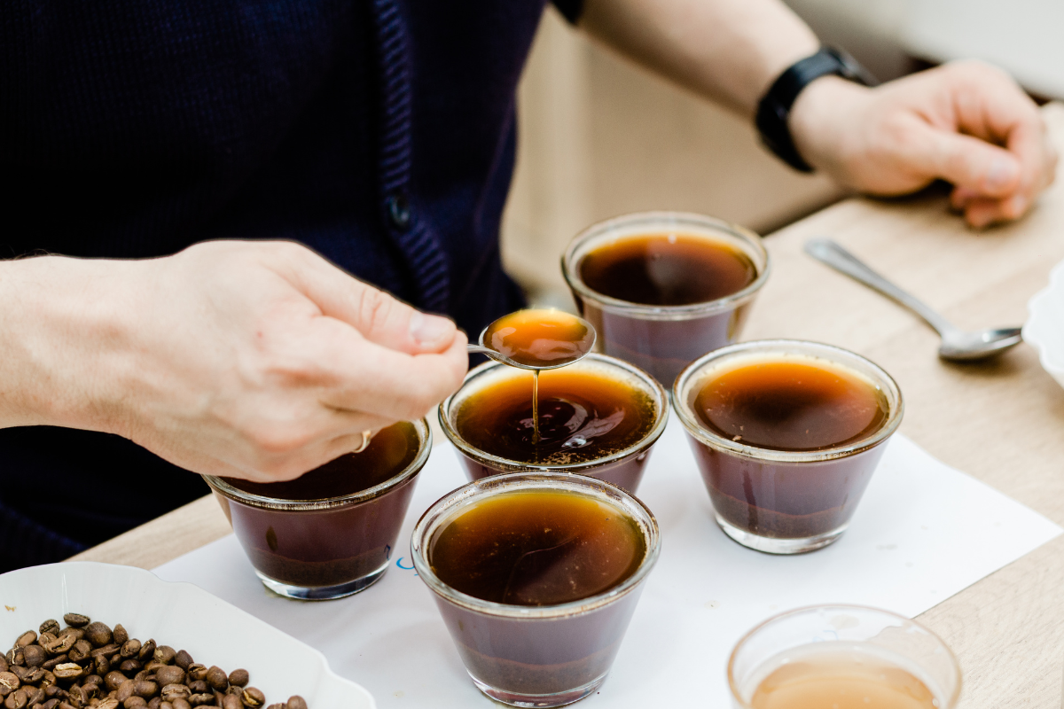 The Art of Tasting Coffee: Understanding Flavor Profiles