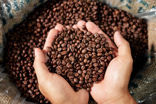 The Importance of Freshness: How to Store Your Coffee Beans